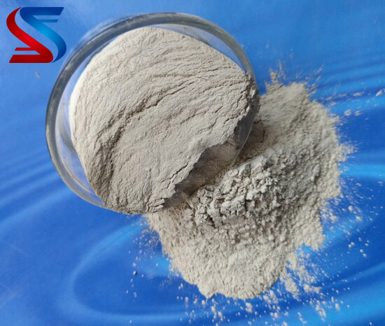 �X�\�����ϸ��X��(x��)�ۃr��S�҈D