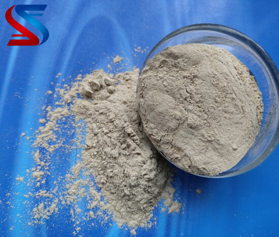 �X�\������|���X���ۏS�҈D