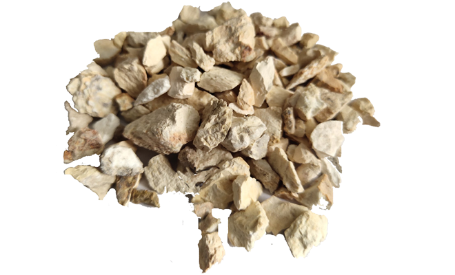 �X�\������|���X���ϏS��