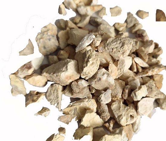 �X�\������|���X���ϏS�҈D