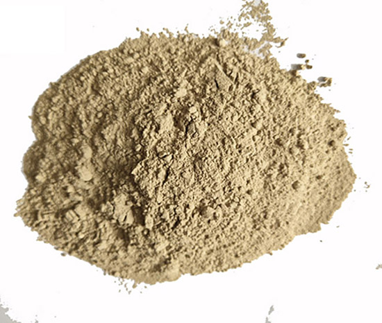 �X�\������|�X����(x��)��|���X�ǿ�|��(x��)�ۃr(ji��)��|�S��