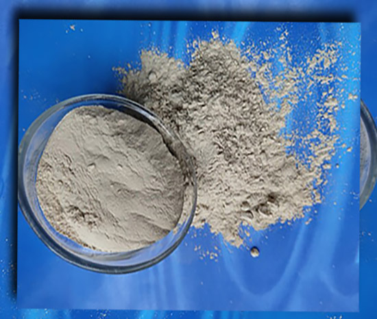 �T����X�\��